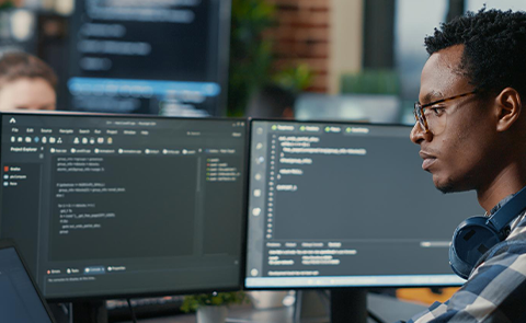 Parcours Développement Logiciel et IOT