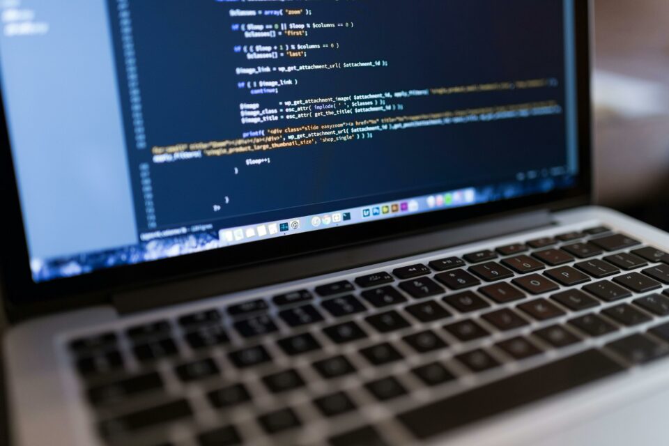 Quelles études pour travailler en développement web ?